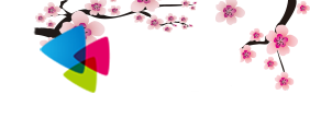 西瓜阅读